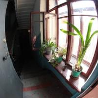 Фотографии отеля Sunny Hostel