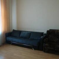 Fotos del hotel Apartments "Belyi Lev" near Hermitage