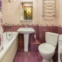 Fotos del hotel Apartment Ordzhonikidze 55