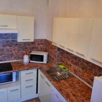 Фотографии отеля Apartment On Pulkovskoe Shosse