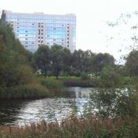 Hotelfotos Apartments Family Club Salute