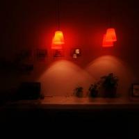 Fotos del hotel Guesthouse Noviy-Vishneviy