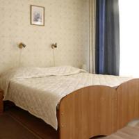 Hotel photos Nevsky Mayak Hotel on Nevsky 100