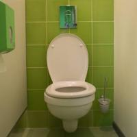 Hotel photos Vaskin Dom