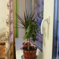 Фотографии отеля Apartment K-42