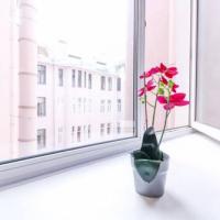 Фотографии отеля Супер Хостел - Невский Проспект 95